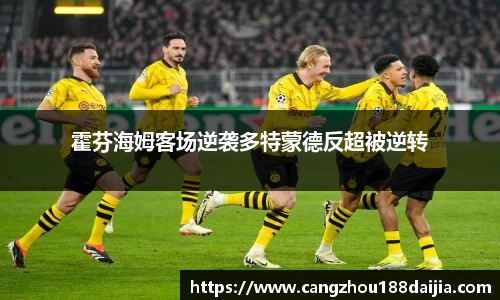 霍芬海姆客场逆袭多特蒙德反超被逆转