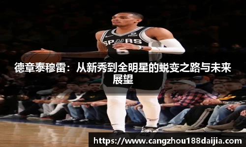 德章泰穆雷：从新秀到全明星的蜕变之路与未来展望
