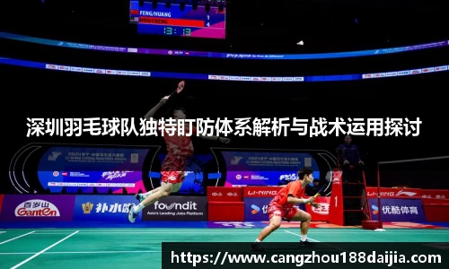 深圳羽毛球队独特盯防体系解析与战术运用探讨