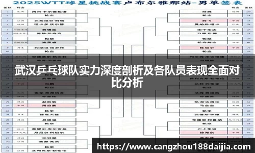 武汉乒乓球队实力深度剖析及各队员表现全面对比分析