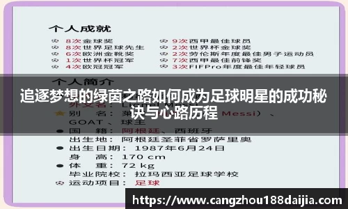 追逐梦想的绿茵之路如何成为足球明星的成功秘诀与心路历程