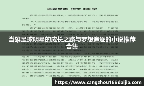 当雄足球明星的成长之路与梦想追逐的小说推荐合集
